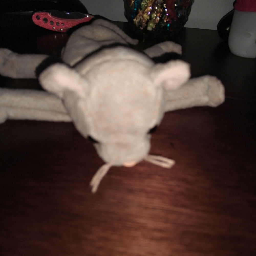 Mouse toy 🐁